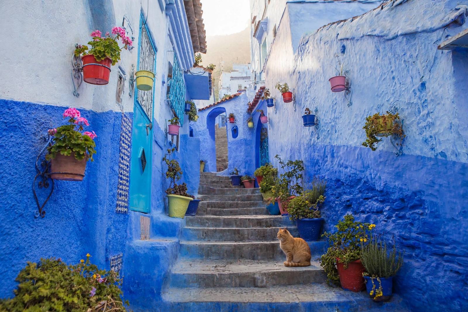 Blue-washed street in Chefchaouen, the blue city of Morocco