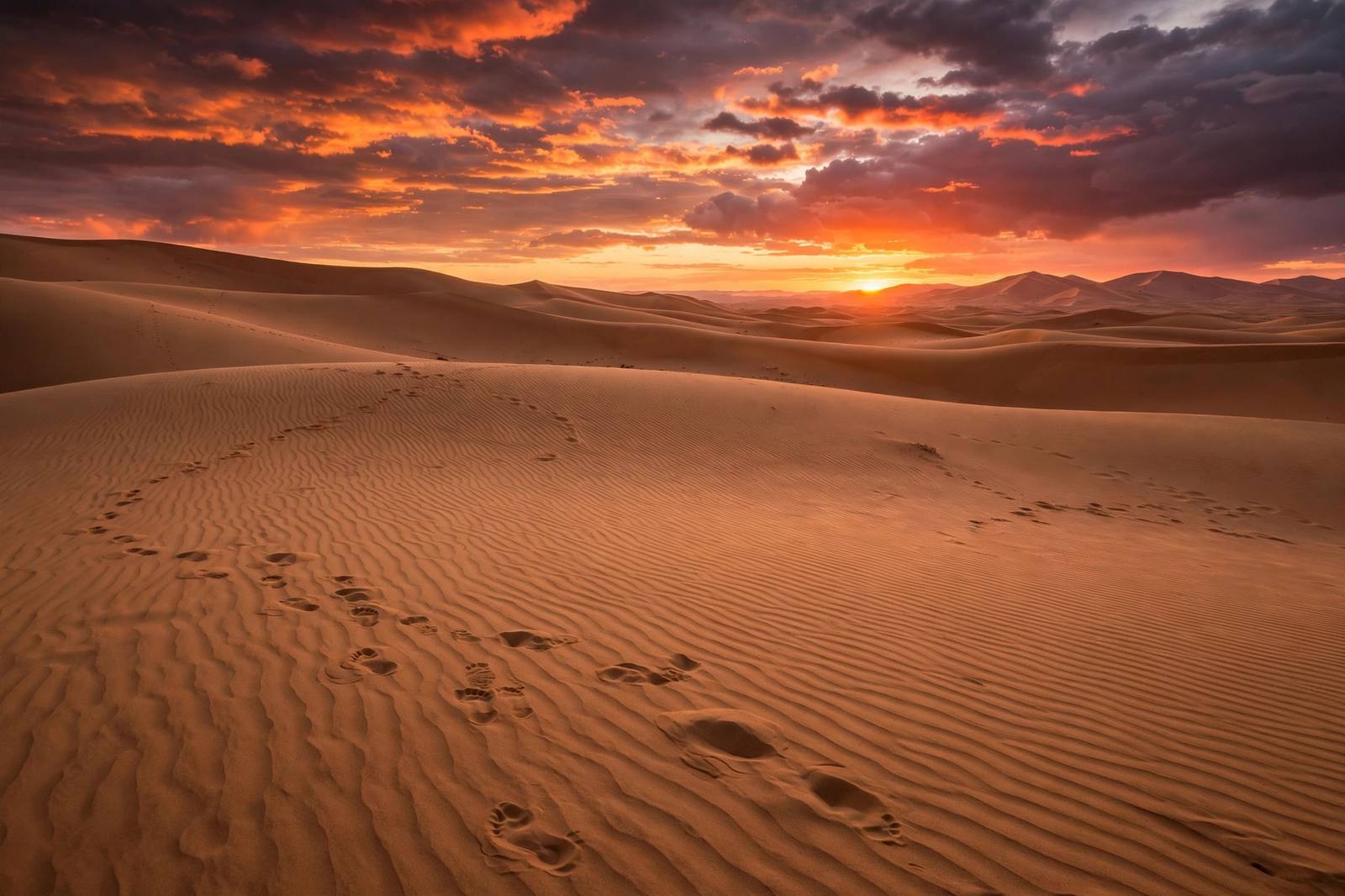 Rippling sand dunes in the Sahara desert at sunset, Morocco