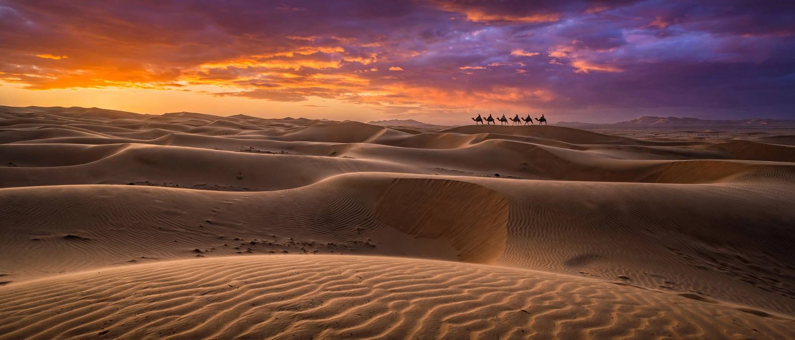 Sahara desert dunes in Morocco at sunset with camel caravan silhouette