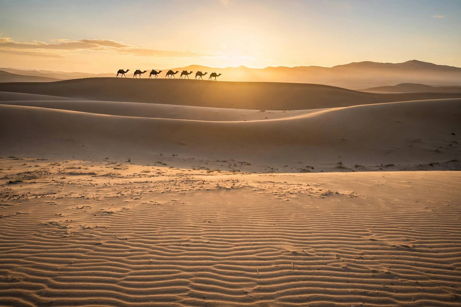 Sahara dunes at Erg Chebbi at sunrise