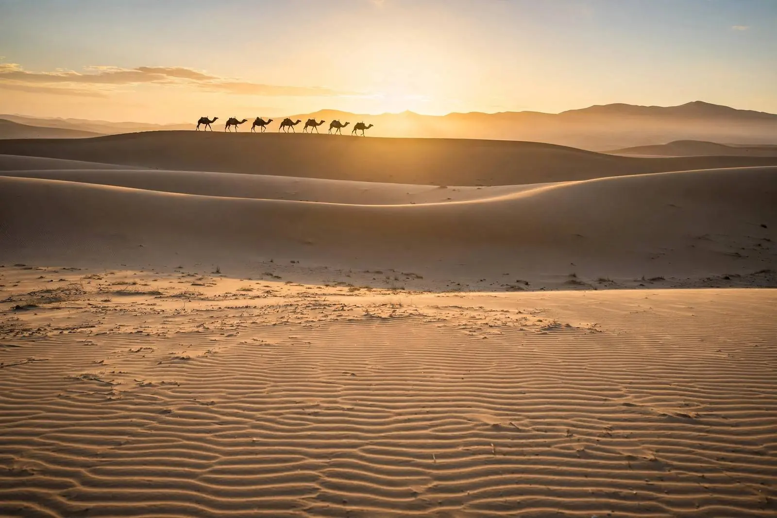 Sahara dunes at Erg Chebbi at sunrise